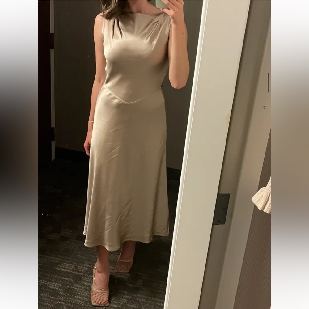 SALONI Jen Dress in Champagne Size US 4 - Picture 5 of 13